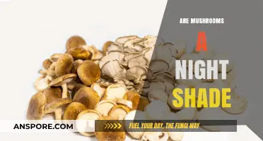 Mushroom Mystery: Nightshade Family Secrets