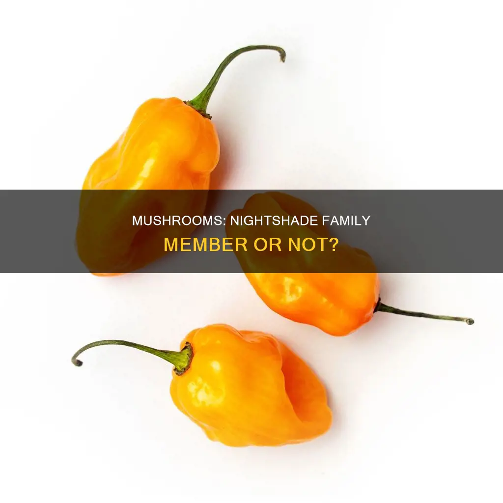 are mushrooms a nightshade food