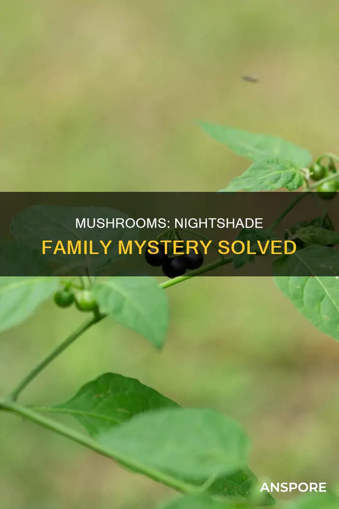 are mushrooms a nightshade plant