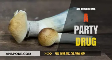 Mushrooms: A Party Drug or Not?