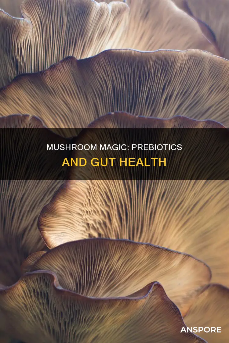 are mushrooms a prebiotic