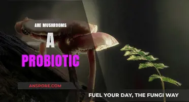 Mushrooms: Probiotic Superfood or Just a Fungus?