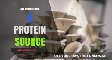 Mushrooms: A Surprising Source of Protein?