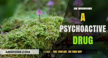 Mushrooms: A Natural Psychoactive Experience?
