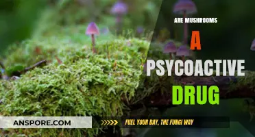 Mushrooms: A Psychedelic Drug Trip?