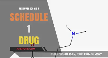 Are Mushrooms Schedule 1? Debunking Psilocybin's Legal Classification