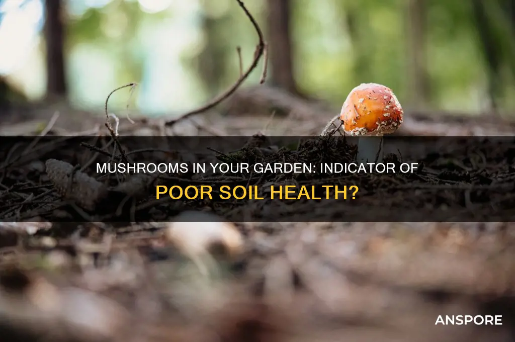 are mushrooms a sign of bad soil