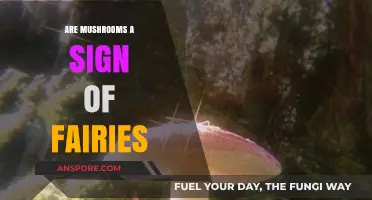 Mushrooms and Fairy Folklore: Unveiling Magical Connections in Nature