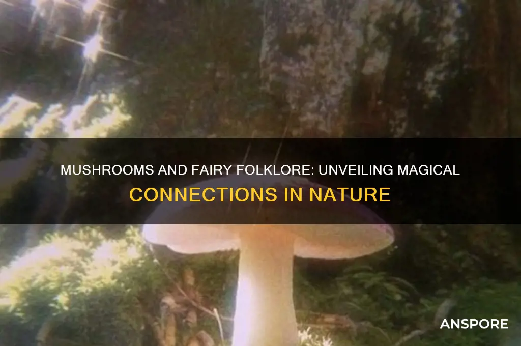 are mushrooms a sign of fairies