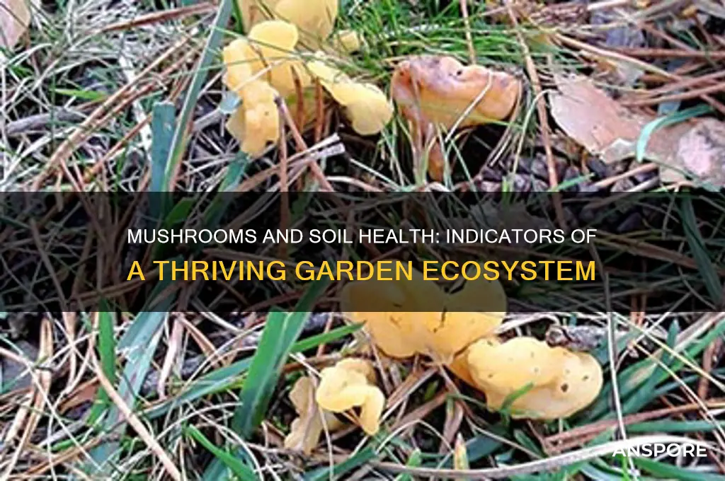 are mushrooms a sign of good soil
