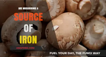 Mushrooms and Iron: Unveiling Their Nutritional Benefits and Facts