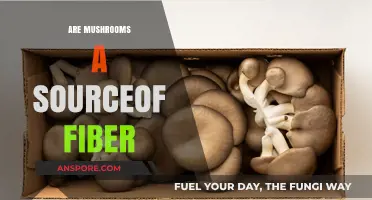 Mushrooms: A Surprising Source of Fiber?