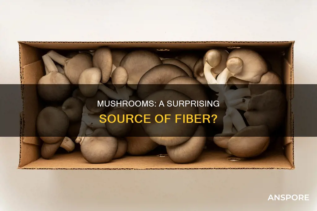 are mushrooms a sourceof fiber