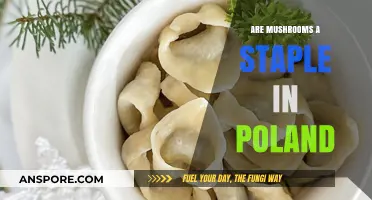 Mushrooms in Poland: A Culinary Staple or Seasonal Delight?