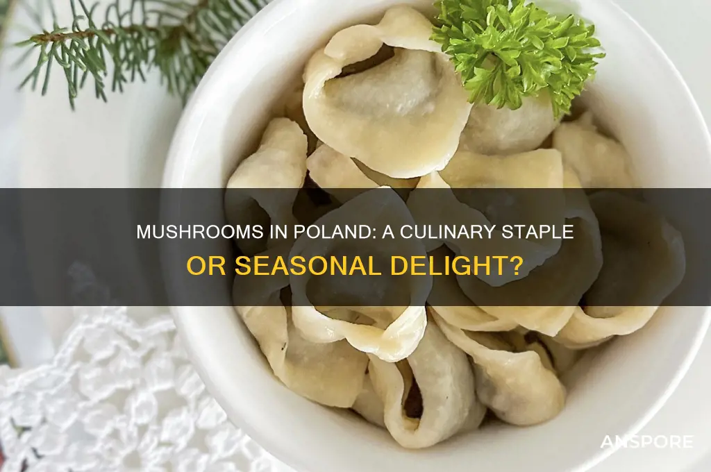 are mushrooms a staple in poland
