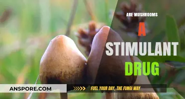 Mushrooms: Stimulant or Hallucinogen?
