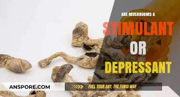 Mushrooms: Stimulant or Depressant? Unveiling Their True Effects on the Body