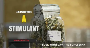 Mushrooms: Stimulant or Not?