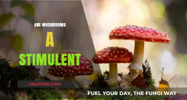 Mushrooms: Stimulant or Not?
