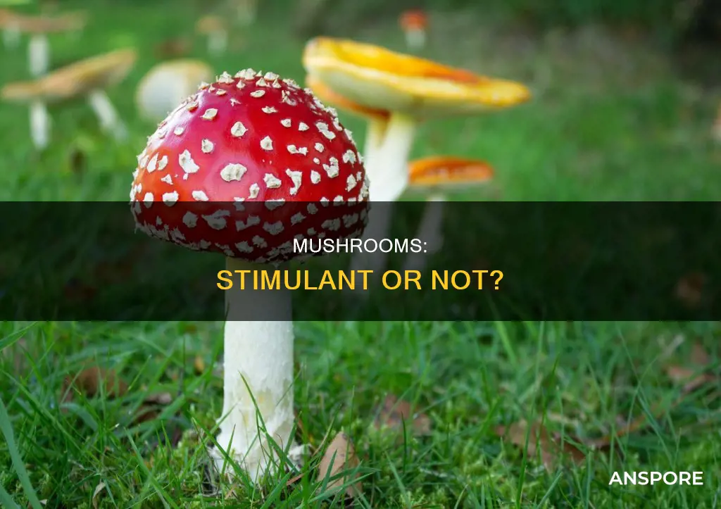 are mushrooms a stimulent