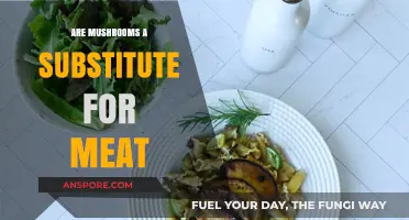 Mushrooms as Meat Substitute: A Tasty, Sustainable Protein Alternative?