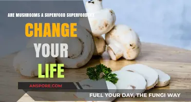 Mushrooms: Unlocking Superfood Secrets for a Life-Changing Health Boost