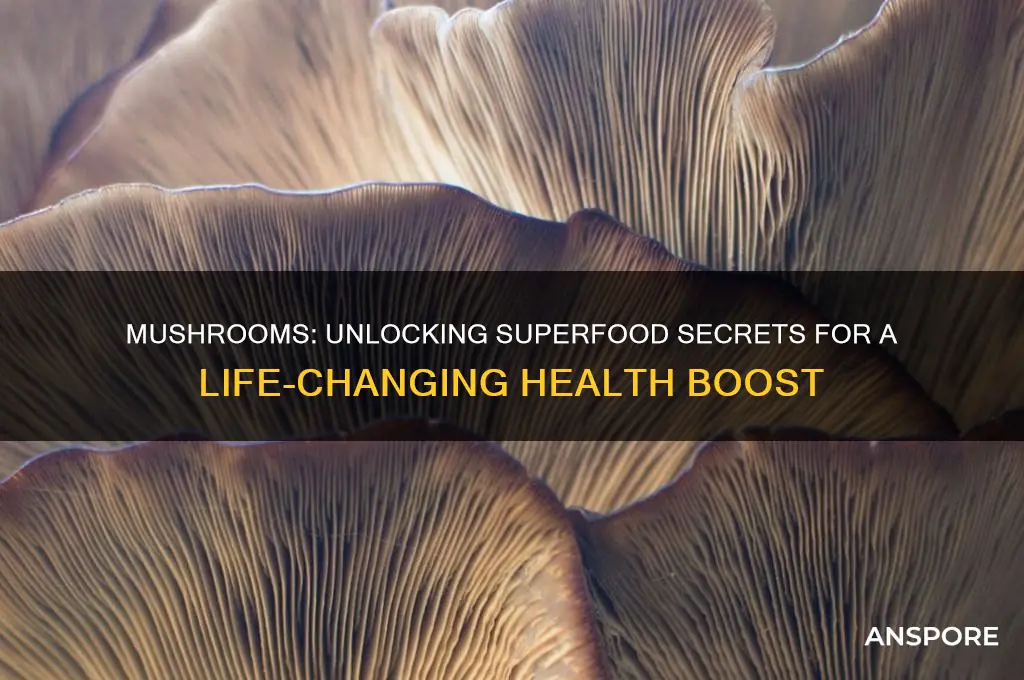 are mushrooms a superfood superfoodsrx change your life