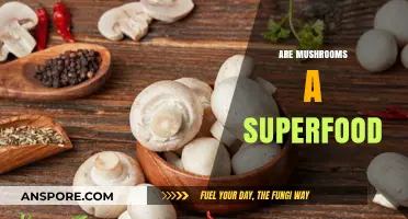 Mushrooms: Superfood Status or Just Hype?