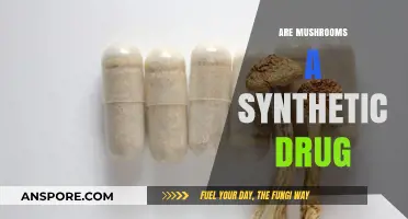 Mushrooms: Natural or Synthetic?