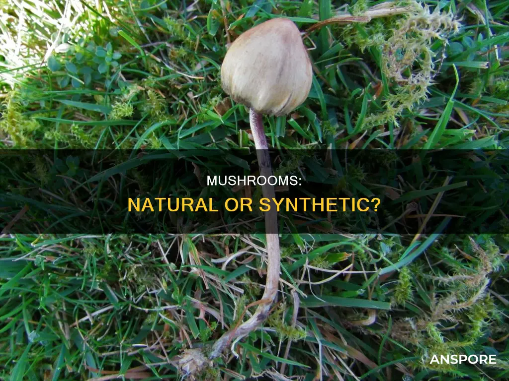 are mushrooms a synthetic drug