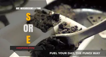 Mushrooms: THM S or E Fuel? Unraveling the Dietary Mystery