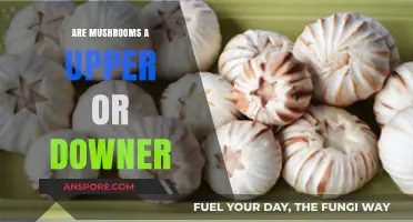 Mushrooms: Upper or Downer? Unraveling Their Effects on Mind and Body