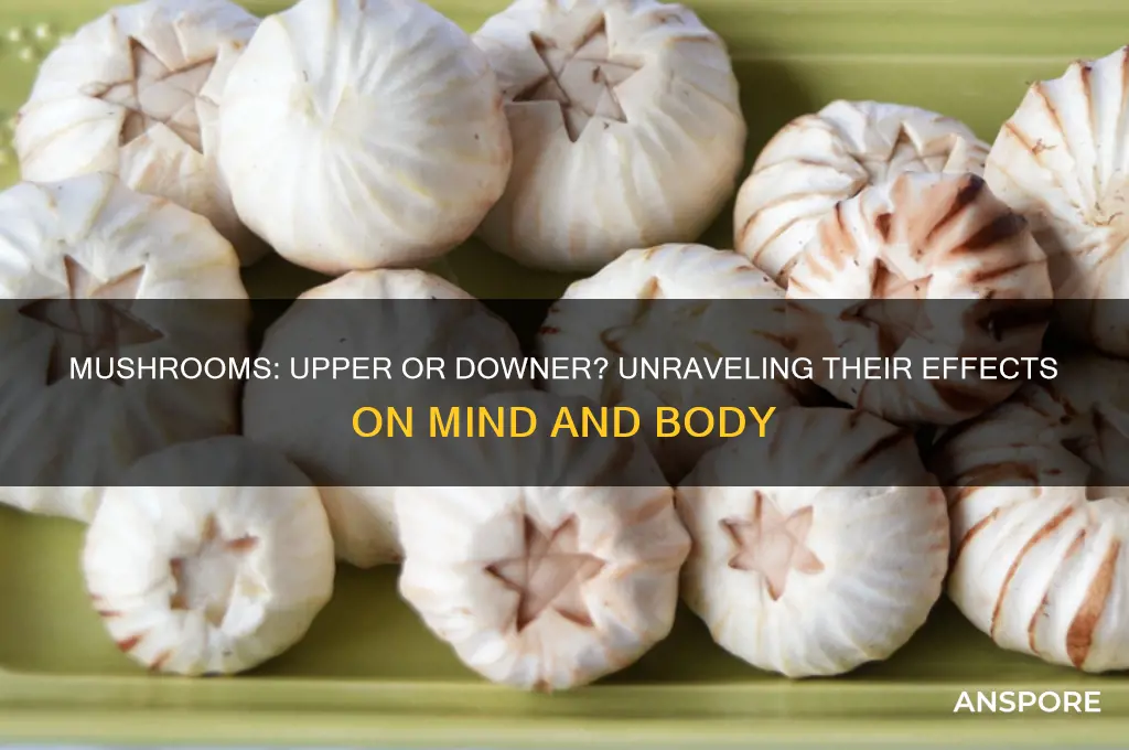 are mushrooms a upper or downer
