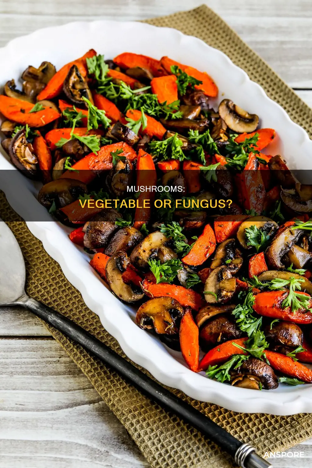 are mushrooms a vegitable