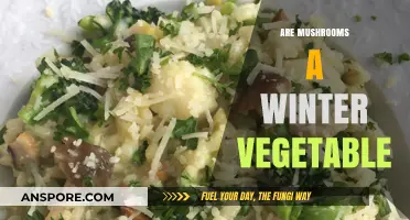 Mushrooms: Winter Superfood or Seasonal Delicacy?