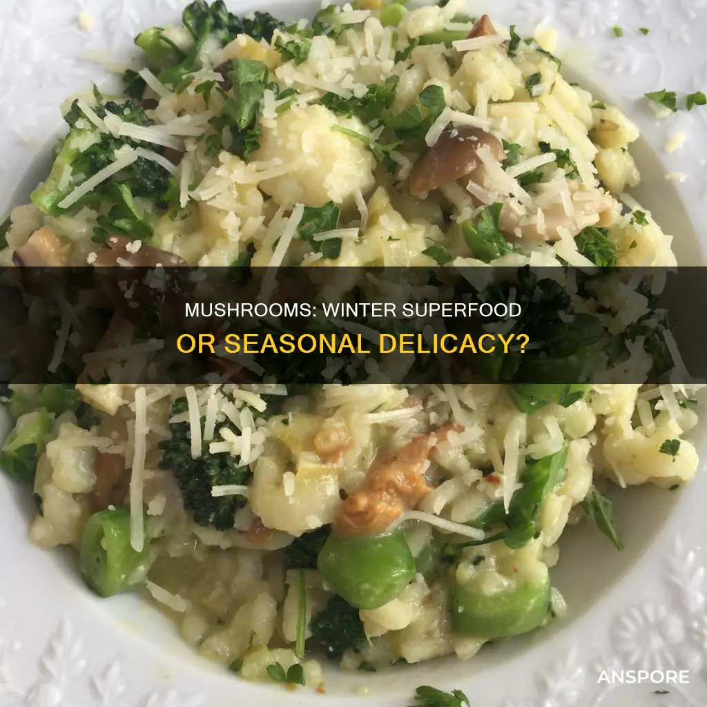 are mushrooms a winter vegetable