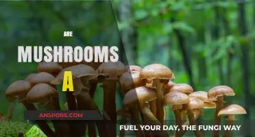 Mushrooms: Superfood or Super-scam?