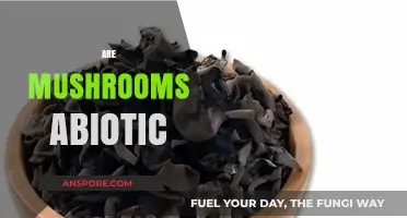 Mushrooms: Living Organisms or Not?