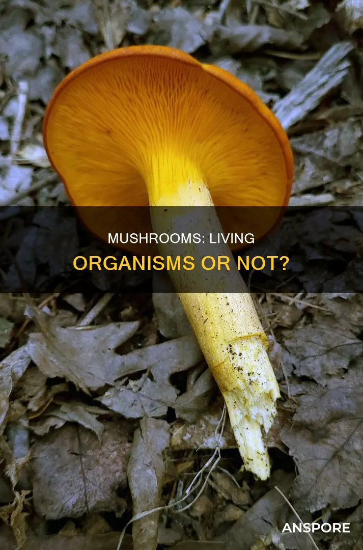 are mushrooms abiotic