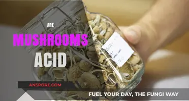 Mushrooms: Are They Acidic or Alkaline?