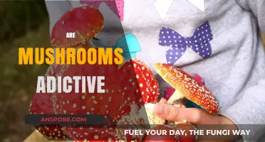 Mushrooms: Addictive or Not?