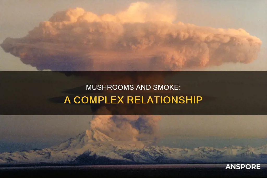 are mushrooms affected by smoke