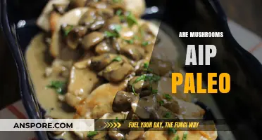 Mushrooms: AIP Paleo-Friendly Superfood?