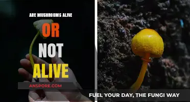 Are Mushrooms Alive? Unraveling the Mystery of Fungal Life