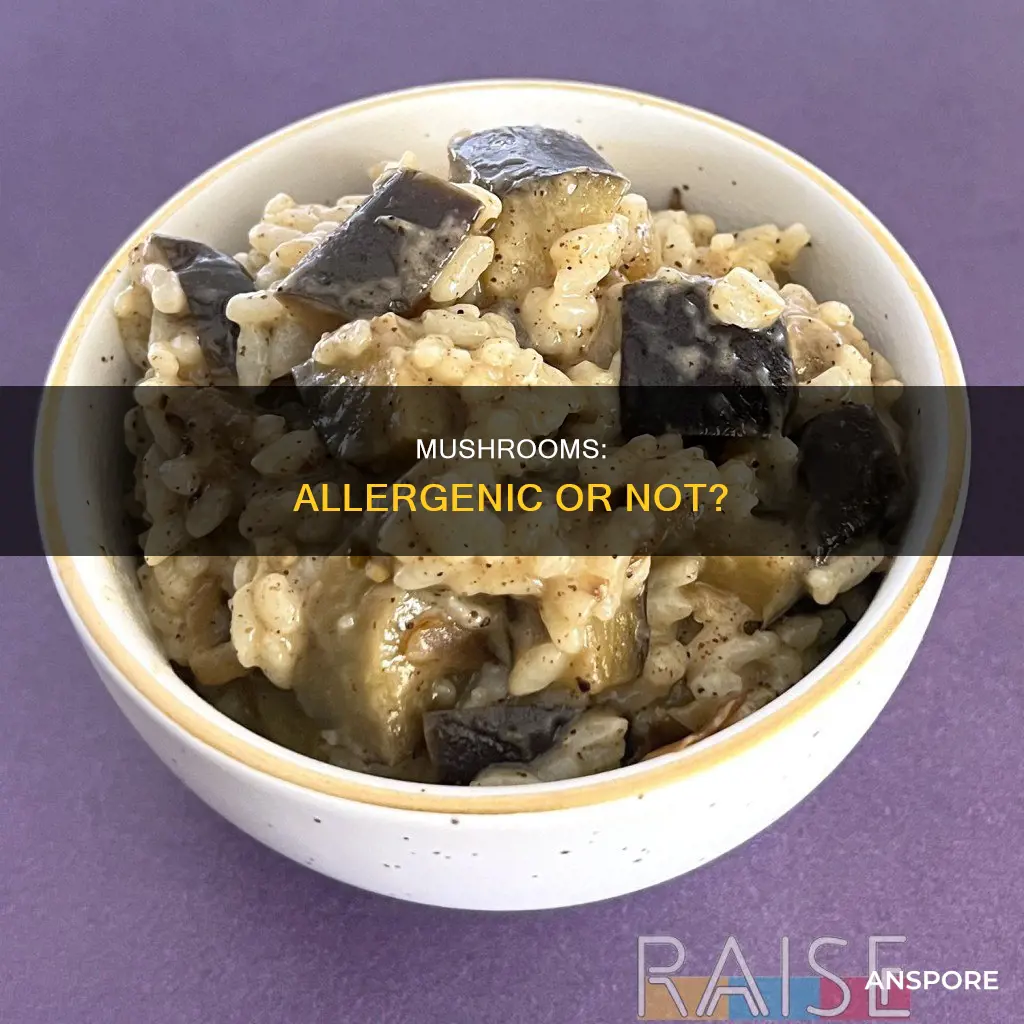 are mushrooms allergenic