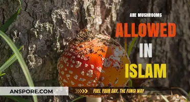 Mushrooms in Islam: Halal or Haram?