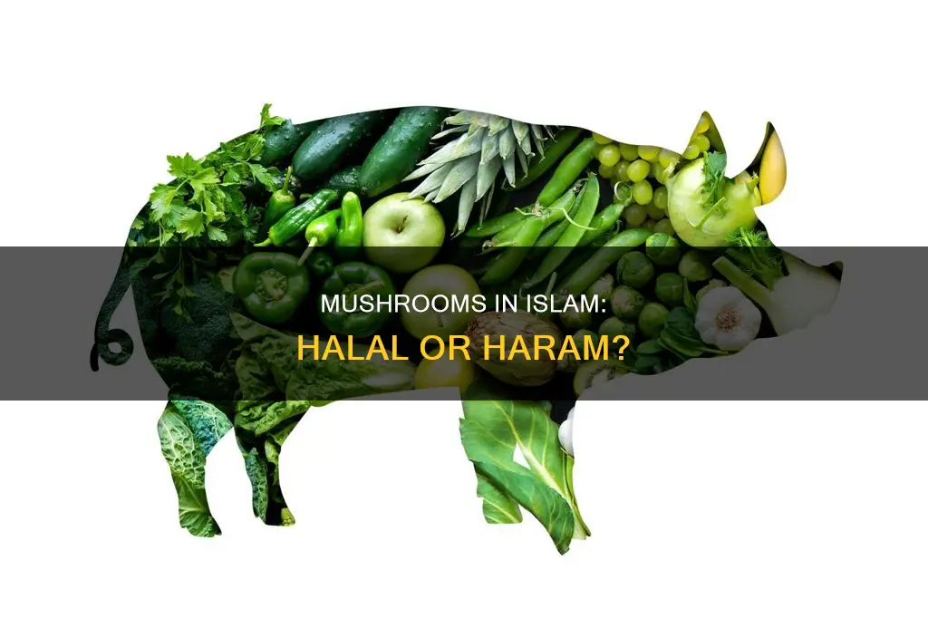 are mushrooms allowed in islam