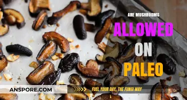 Mushrooms: Paleo-Friendly Superfood or a Big No-No?