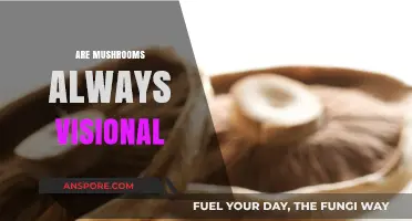 Mushrooms: A Visionary Experience or Hallucination?