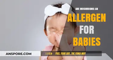 Mushrooms and Baby Allergies: What Parents Need to Know